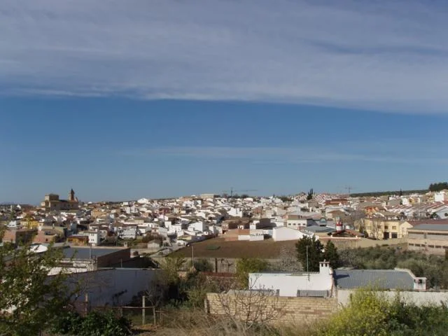 Vista de Encinas Reales