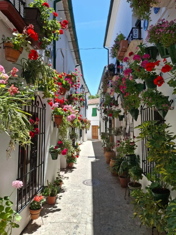 Vista de Priego de Córdoba